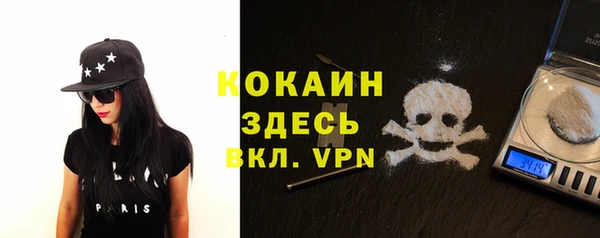 гидра Лагань