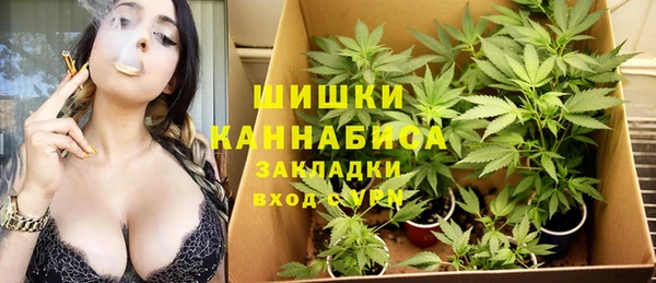 мескалин Лабытнанги