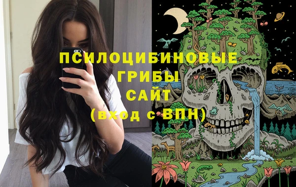 первитин Ладушкин