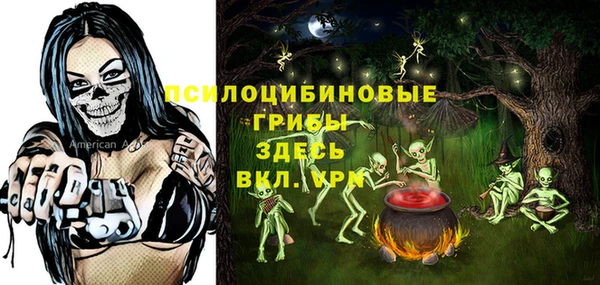 мескалин Лабытнанги