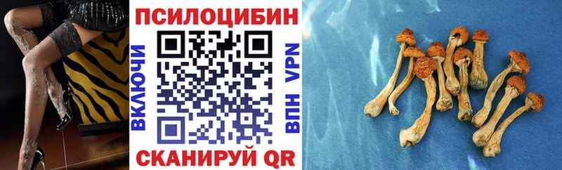 Псилоцибиновые грибы Psilocybe  Холмск 